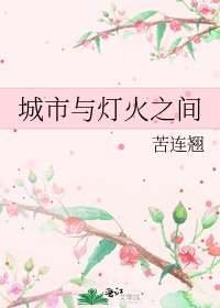 城市与灯火之间